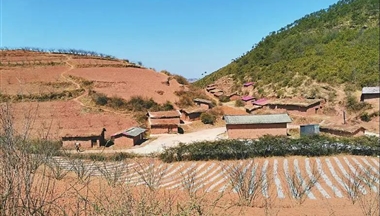 【四川日报】媒体聚焦︱打&ldquo;井&rdquo;养猪新探索，喜德县整合