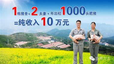 【媒体报道】铁骑力士1211猪场托管引领养猪领域发展