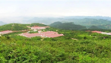 全国仅62家！铁骑力士2家猪场入选首批&ldquo;无非洲猪瘟小区&rdquo;