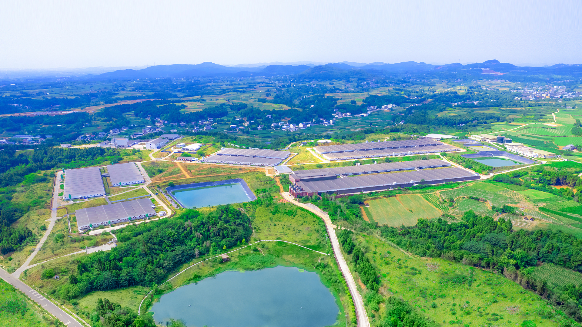 产业概况 Industry Overview